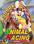 สำรวจ ambbo เครดิต ฟรี กับระบบทดลองเล่นที่น่าสนใจ